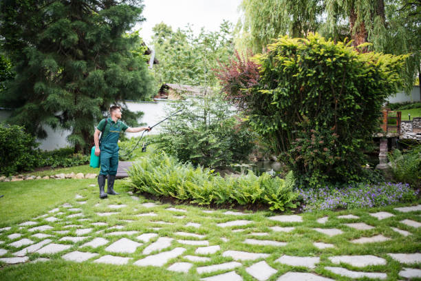 Best Local Pest Control Services  in Brooklyn, IN